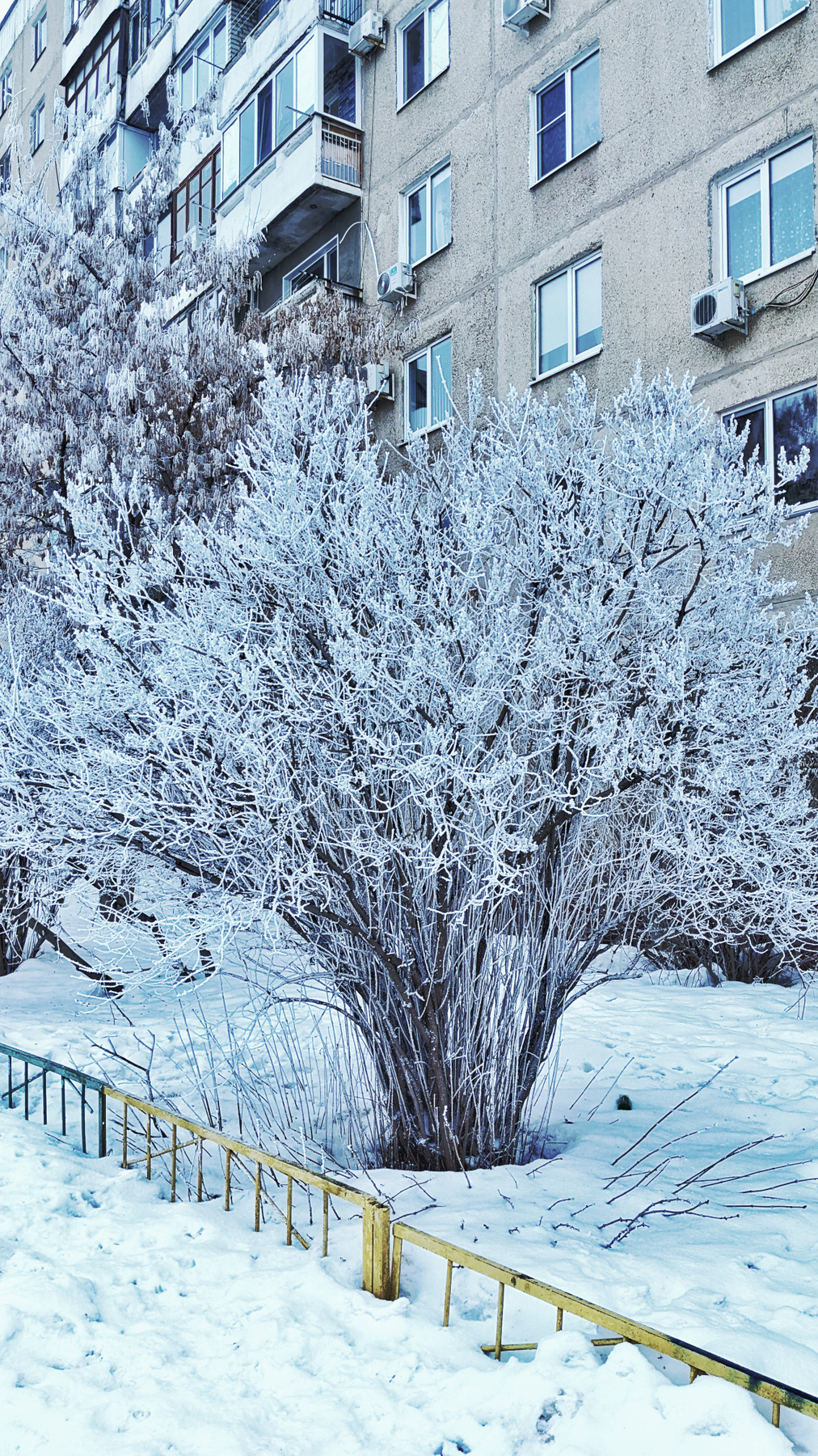 *** 