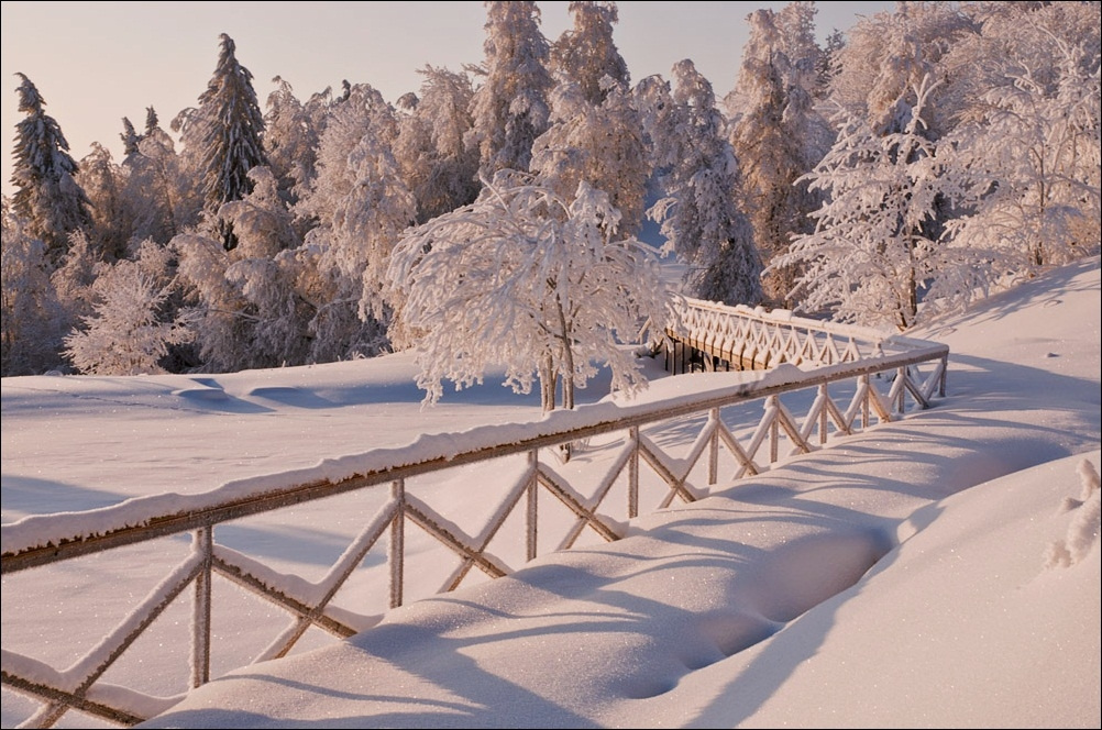 В зимнем парке... зима снег свет парк