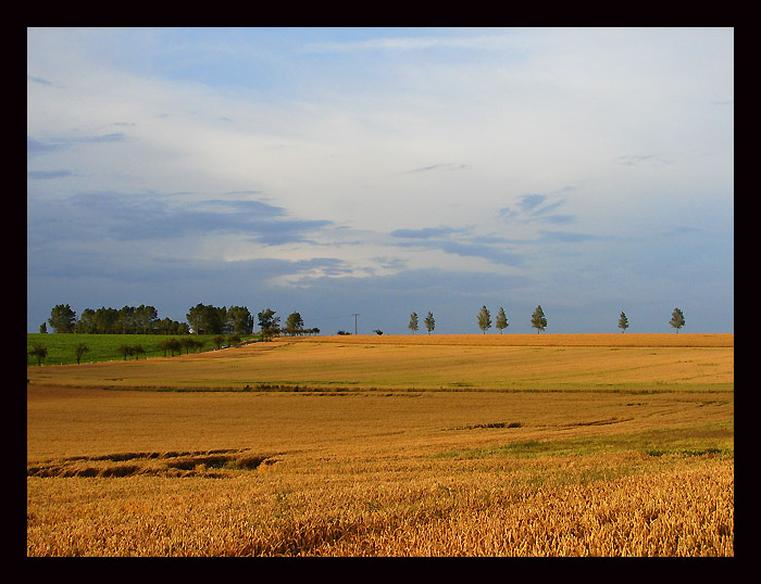 Sachsen.Doebeln. Deutschland Sachsen Doebeln