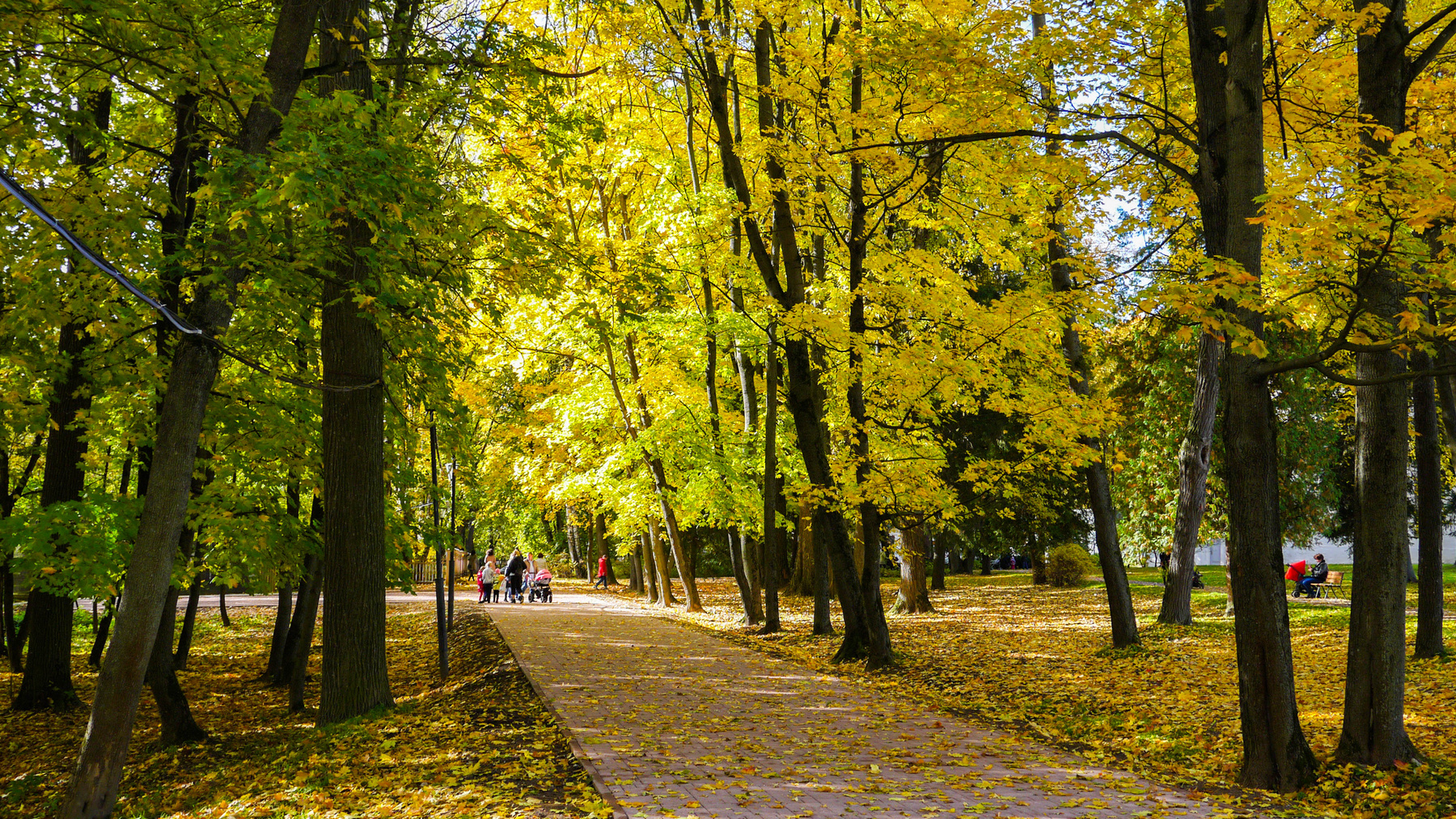Осенняя аллея. 