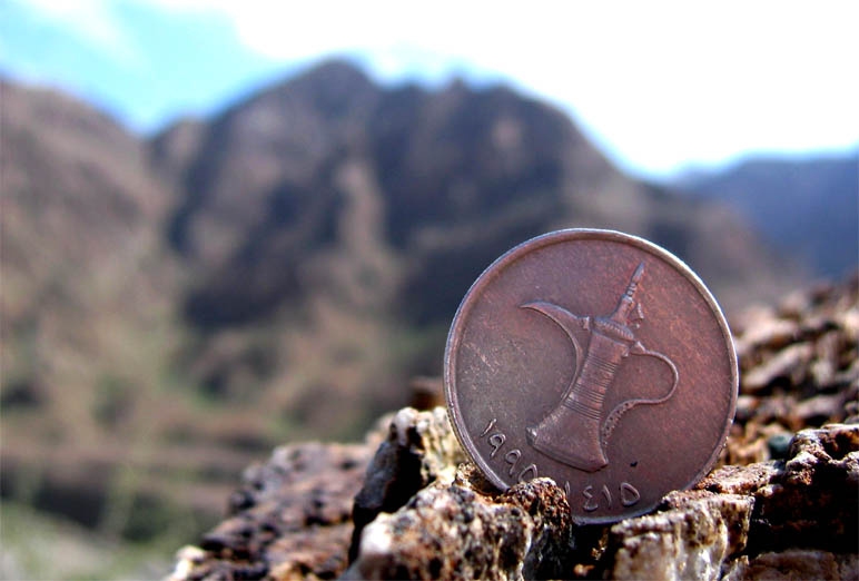 coin 