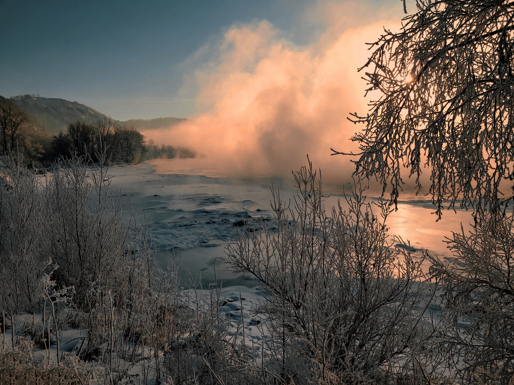 Природа под снегом 