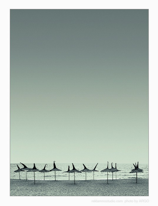 BlackSea 