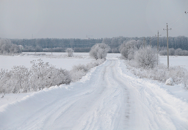 В белом зима