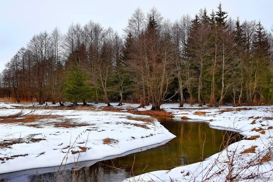 ПЕРВЫЙ СНЕГ... река природа пейзаж снег