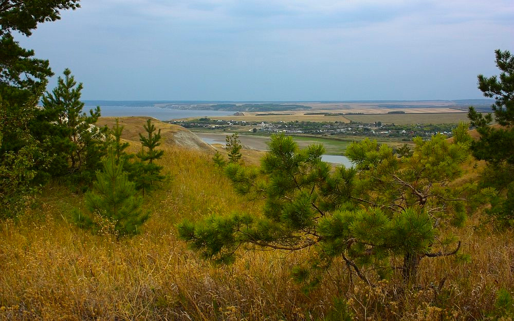 сенькино деревня село
