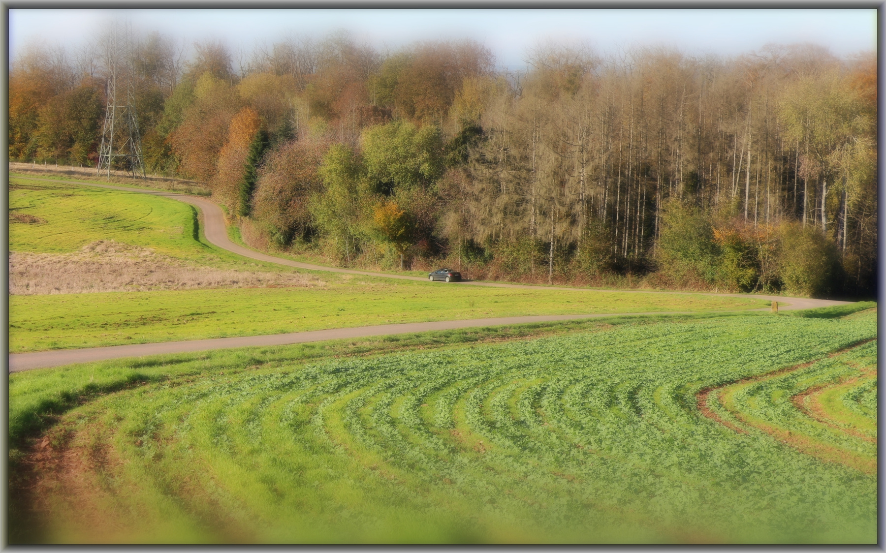*** Germany landscape