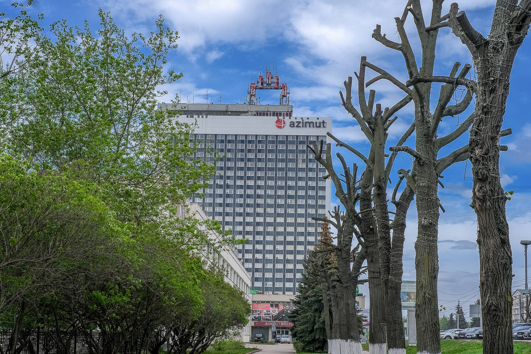 Озеленение... весна город улица