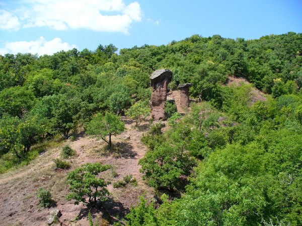 Каменные грибы 