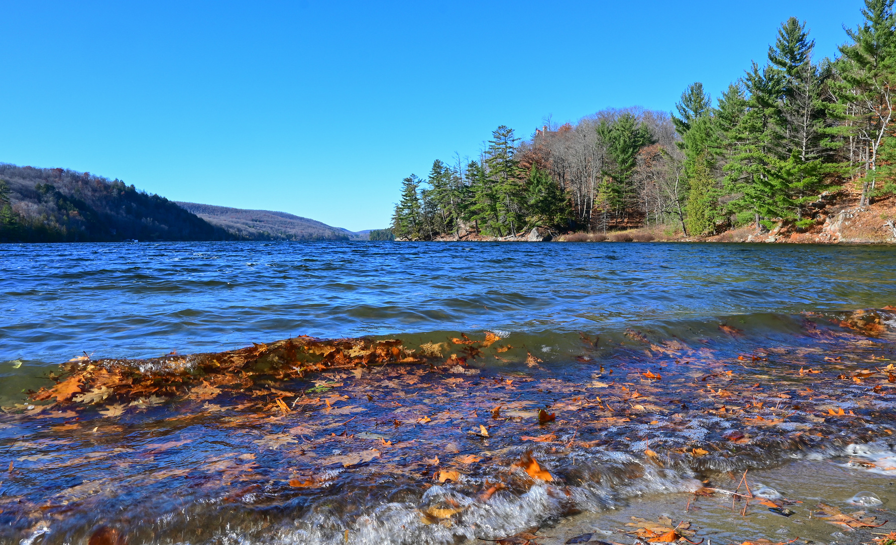 Дубовый прибойчик Meech Lake Gatineau Quebec