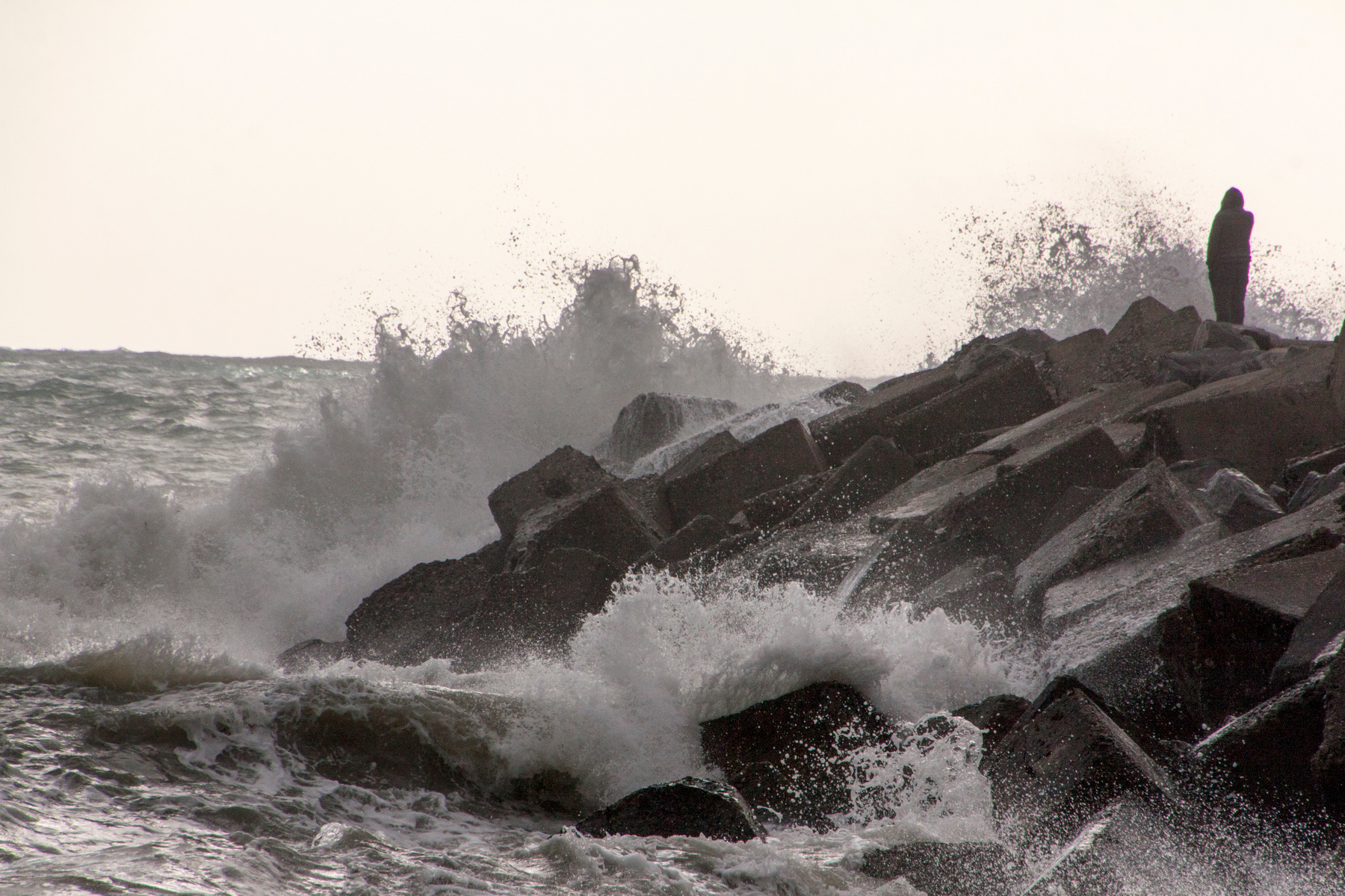 ***Sea Sea and human