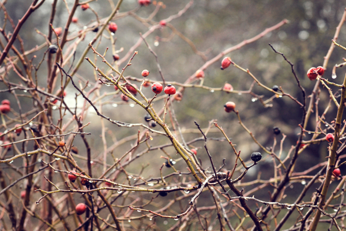 *** http vk.com rmz_photo