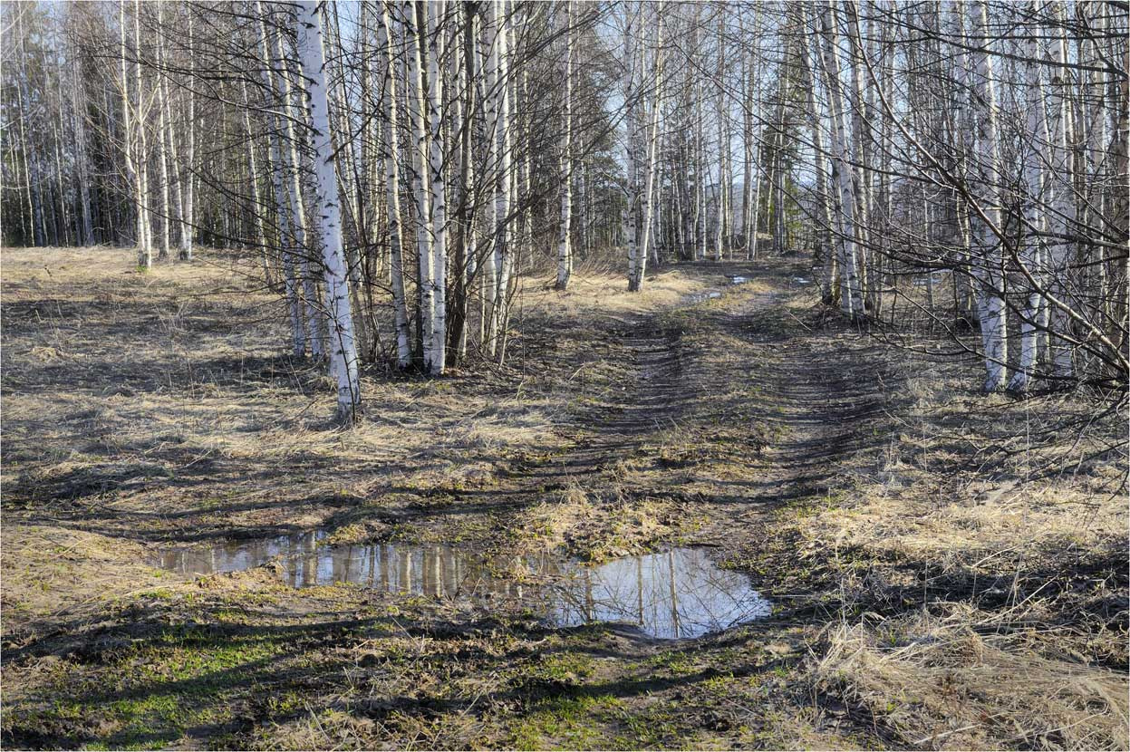 В ожидании тепла 