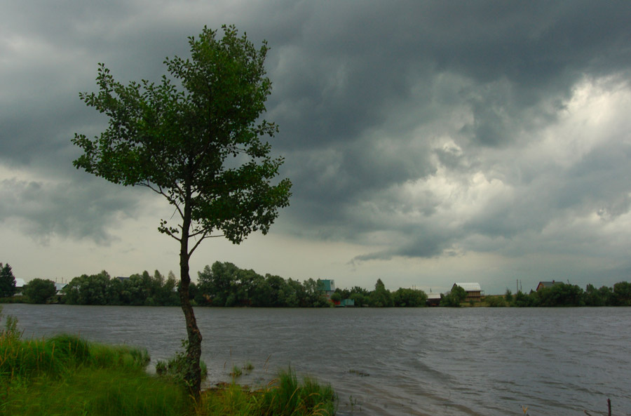 Перед дождем... Природа, дерево, пруд