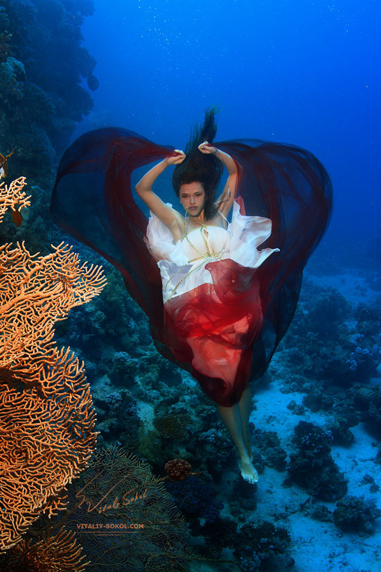 Ocean's heart underwater, reef, coral, red sea, model