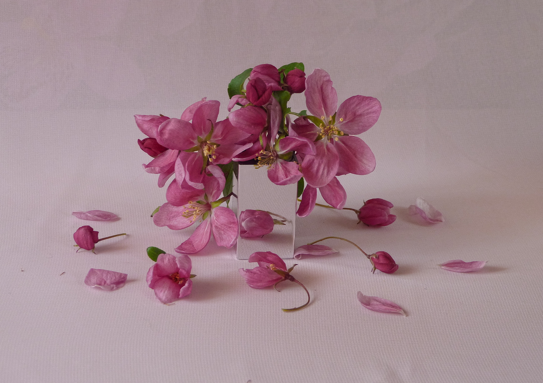 *** 
