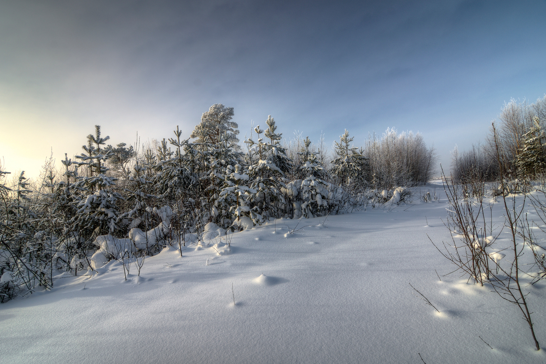 февраль февраль, зима, тайга, снег, лес, hdr