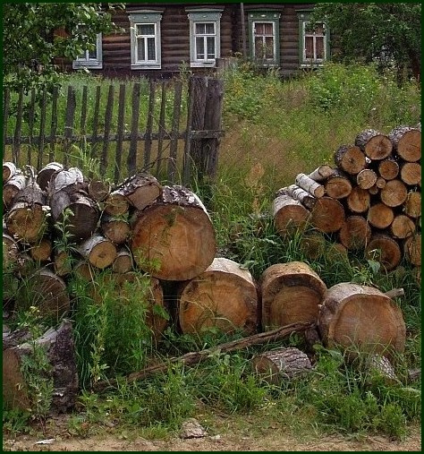 На траве дрова... трава, дрова