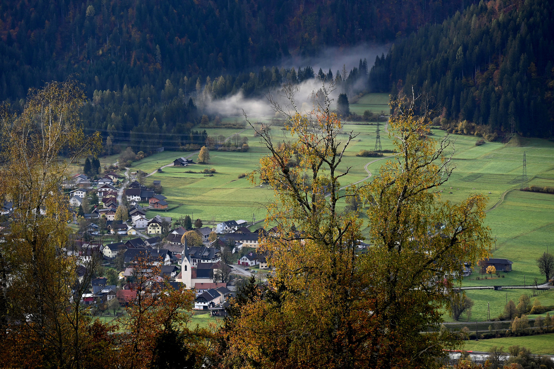 fog goes to the valley 