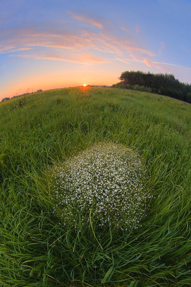 Утро на планете 