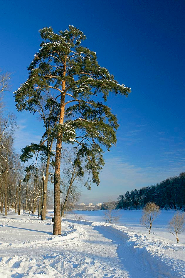 Зима в городе Царицыно, зима