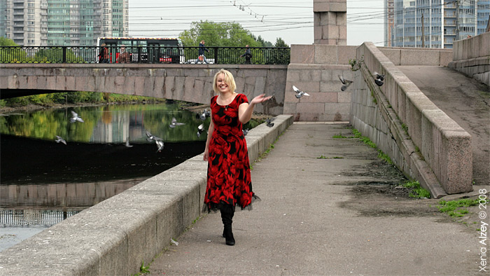 И голуби город, мост, Петербург, 