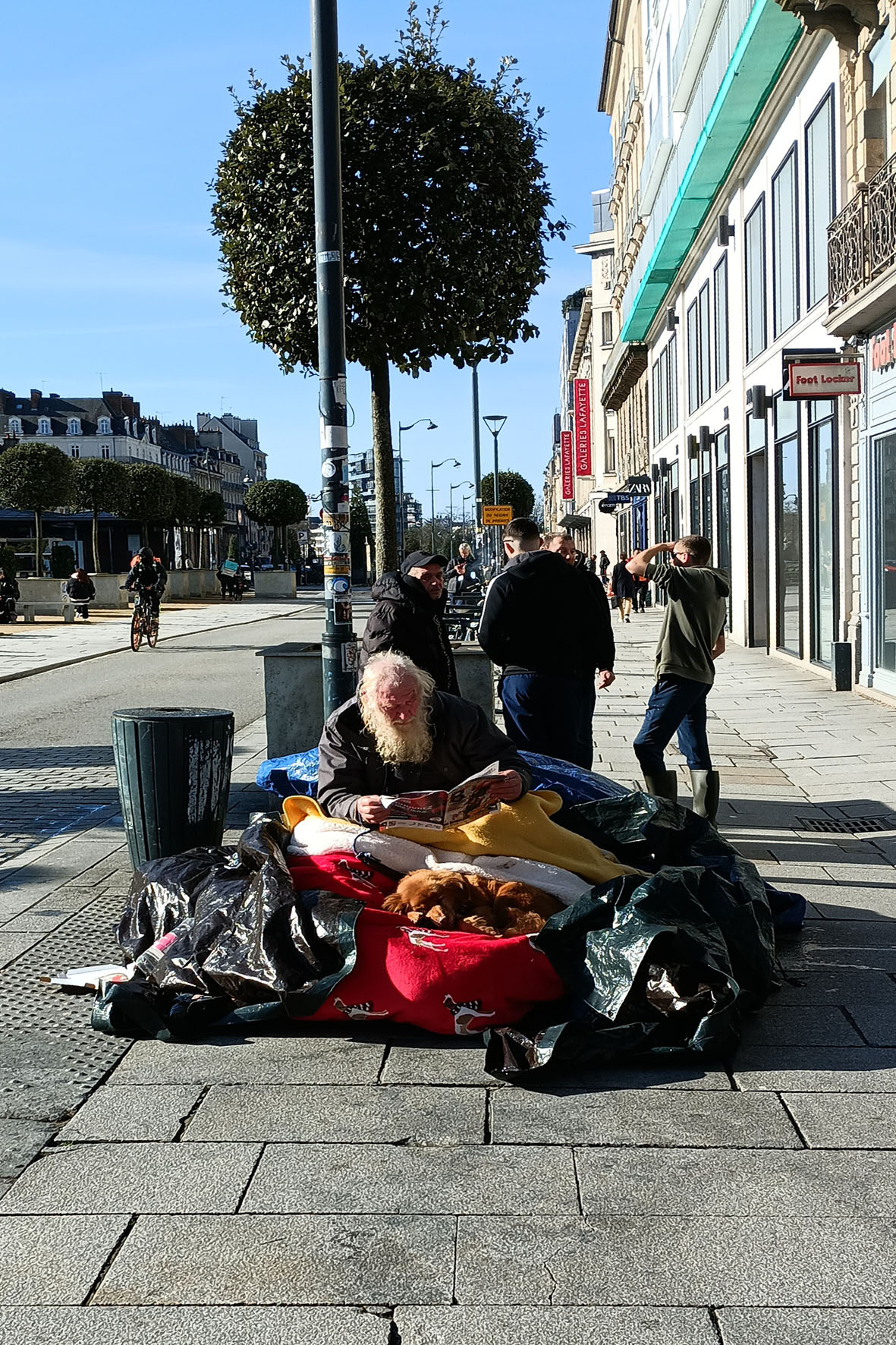 А я пока отдохну... Ренн Бретань Rennes бездомный собака отдых