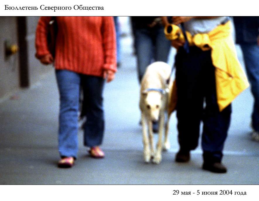 Бюллетень Северного Общества за 29 мая - 5 июня 2004 года 