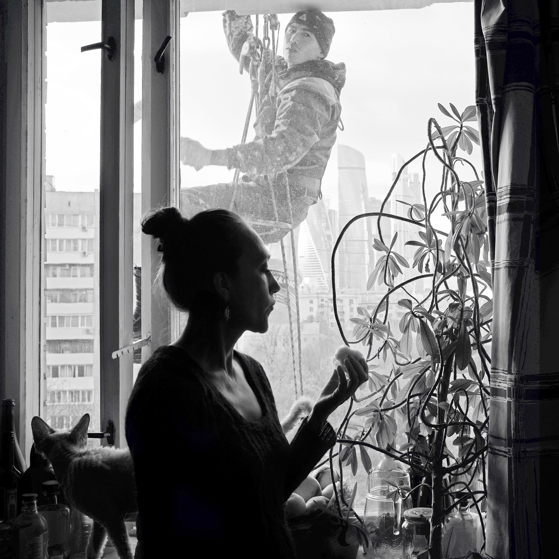 self-portrait portrait window cat woman selfie self-portrait