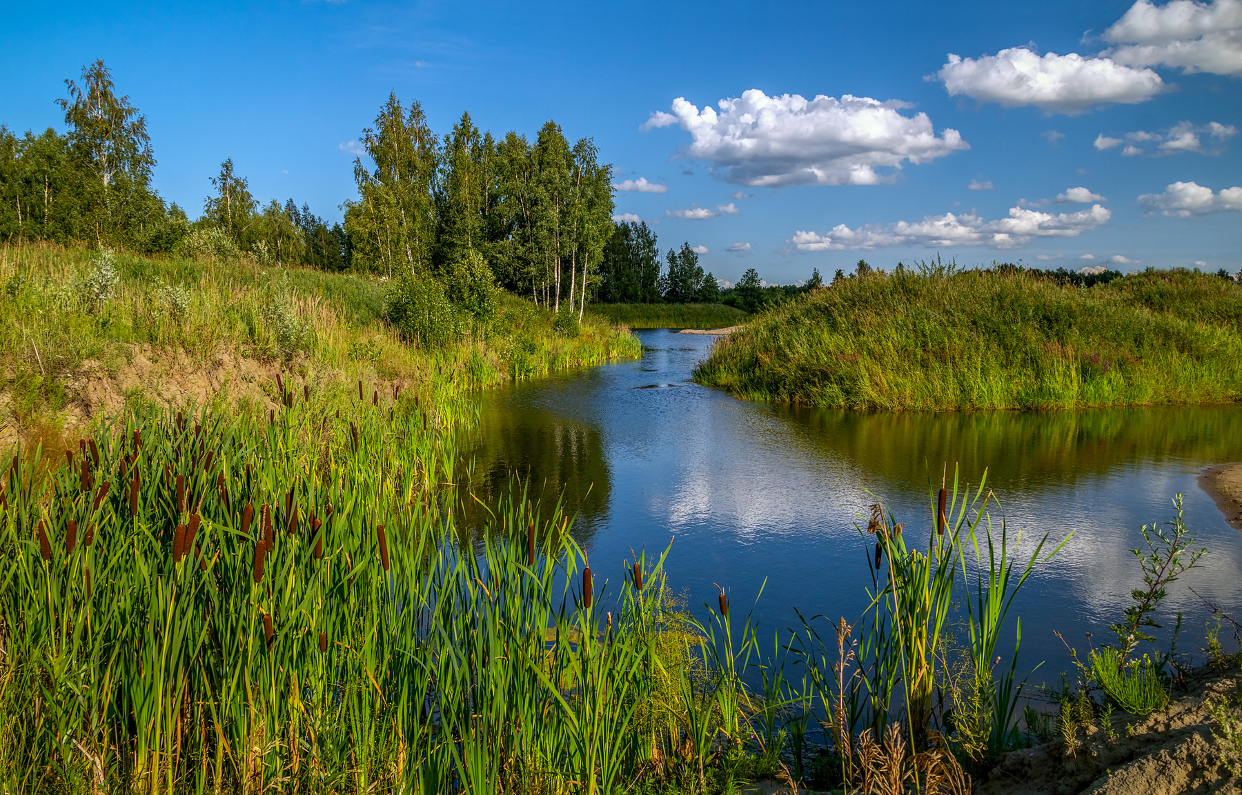 Лес, озеро, облака 