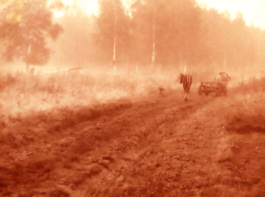 Пастораль nature