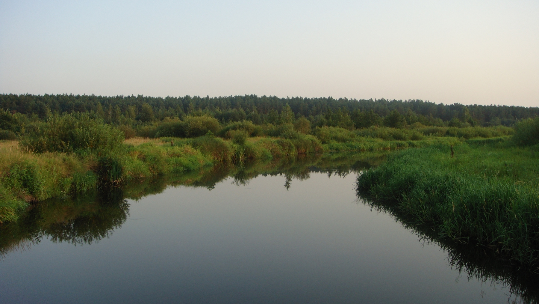 Тиха ріка 