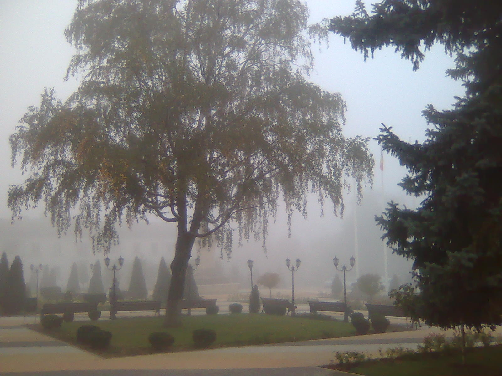 Осенний парк парк деревья осень