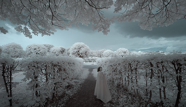 Признание... Infrared