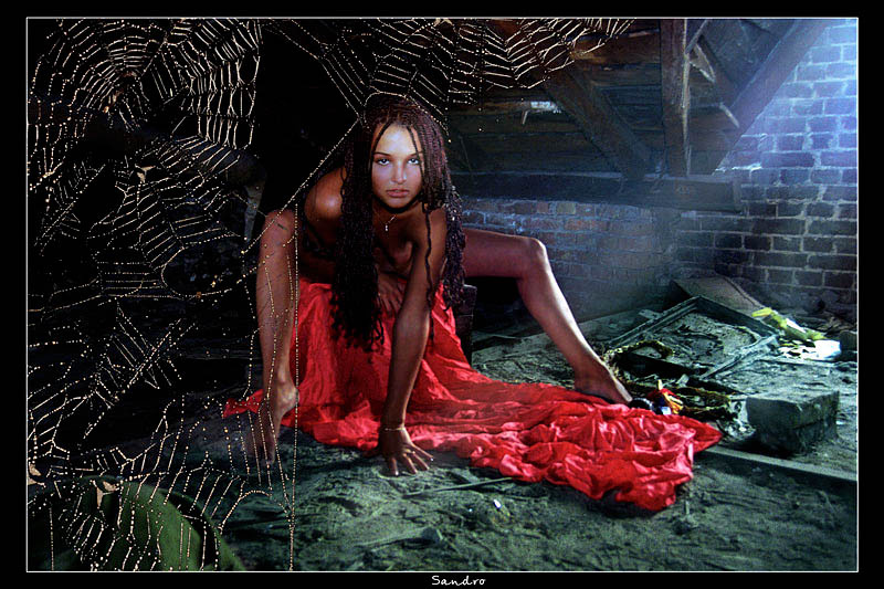 Spidergirl (серия "Потерянные игрушки") чердачок паучок