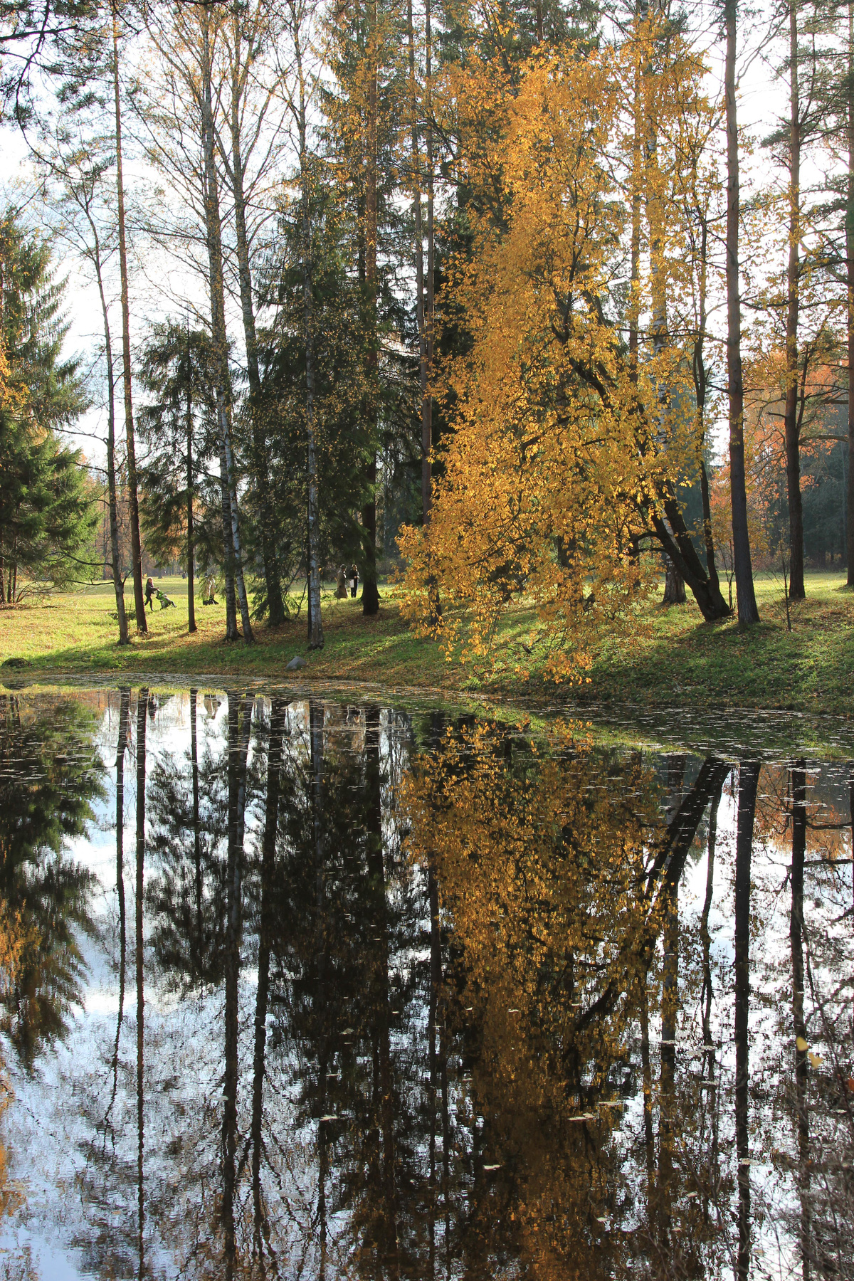 Осень осень листва