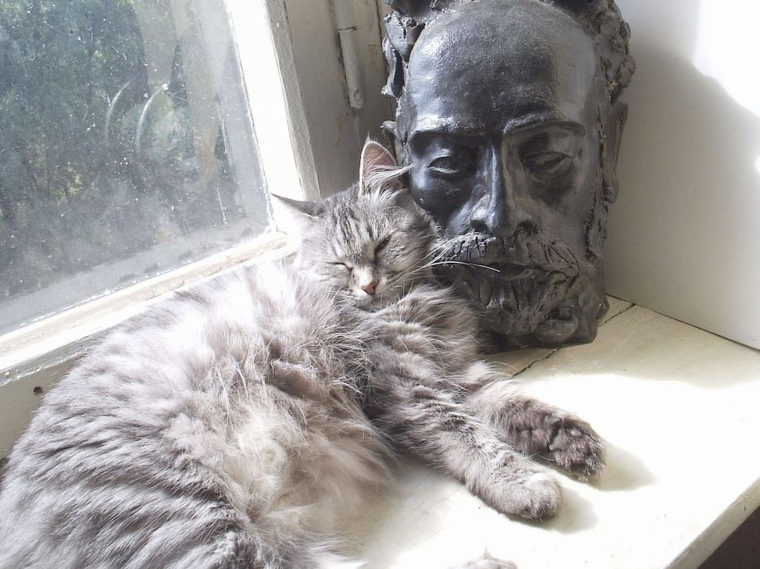ну... нравится мне Левитааан... кошка