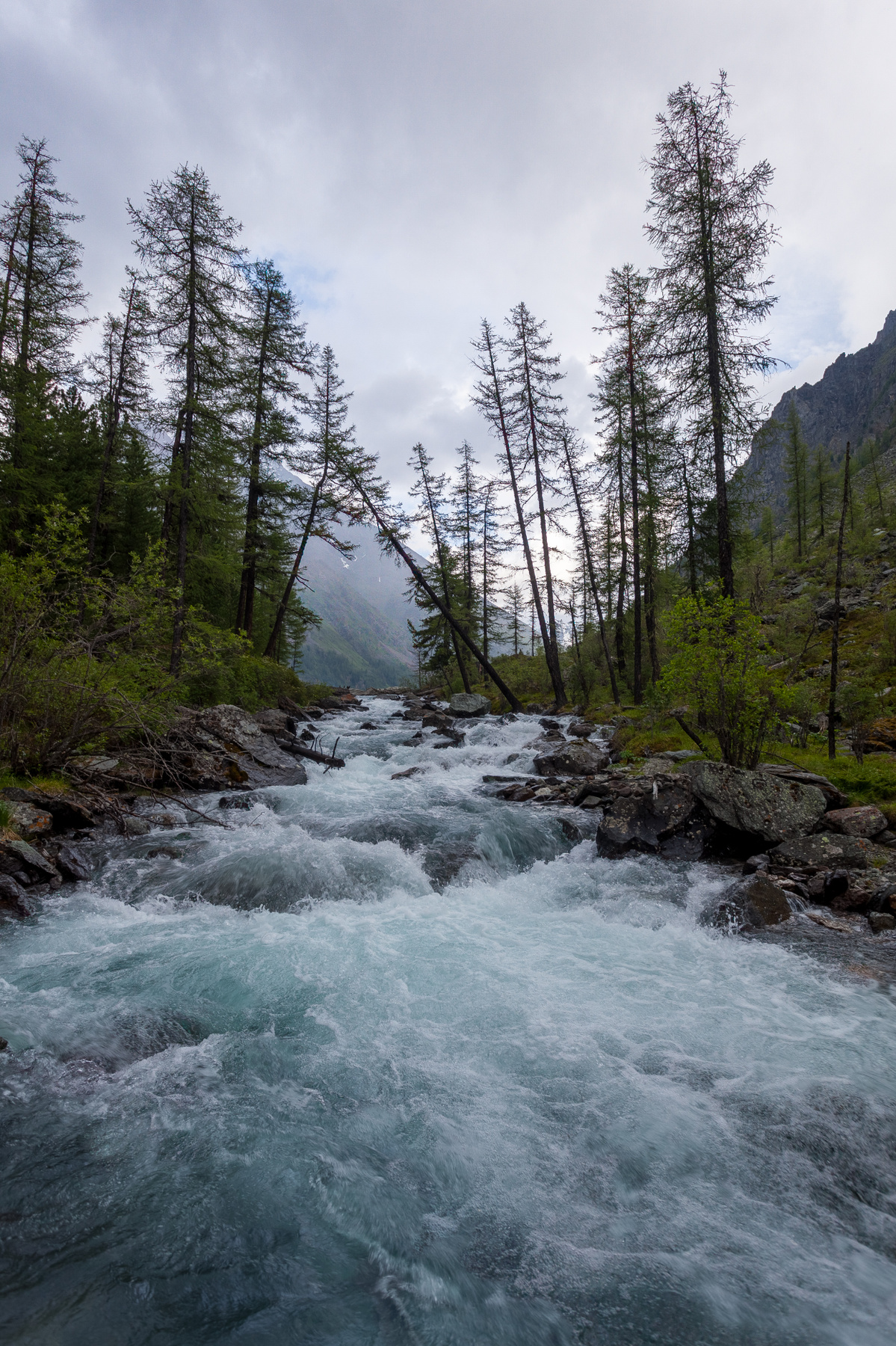 *** 