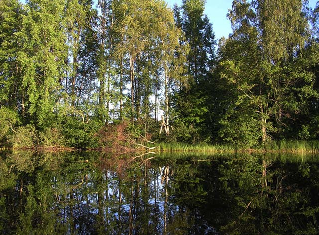 Сказка Вуокса, природа, река