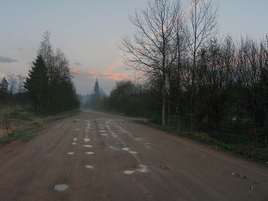 Мокрая дорога. лето