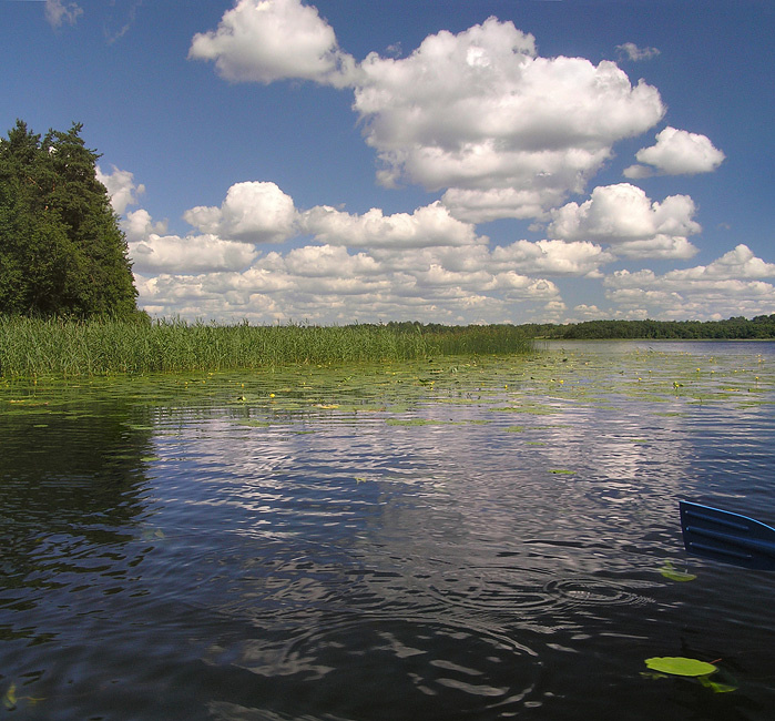 Мы на лодочке катались... озеро облака круги на воде кувшинки