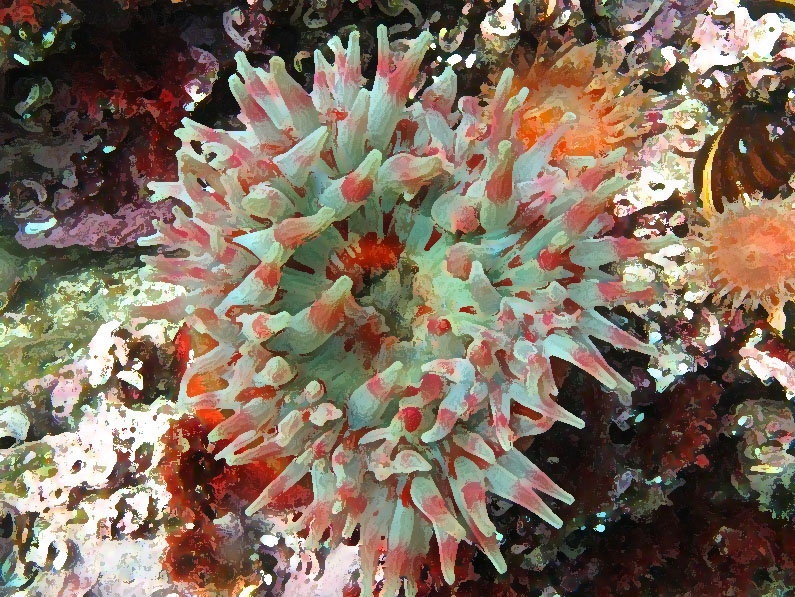 Морская акварель 