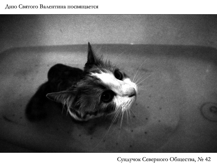 Святовалентиновский сундучок Северного Общества 