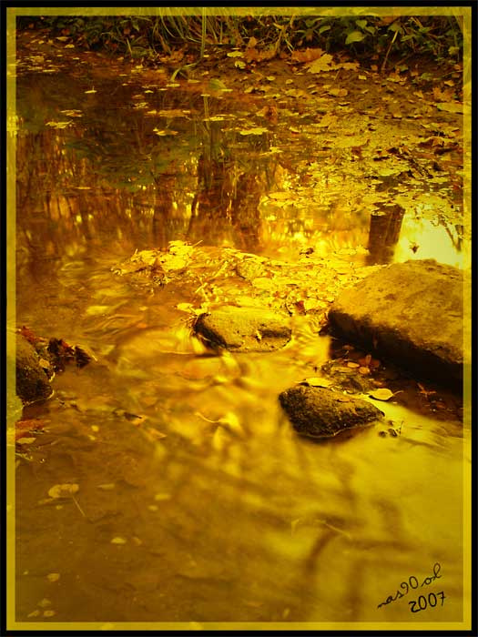 golden autumn река, осень, вода