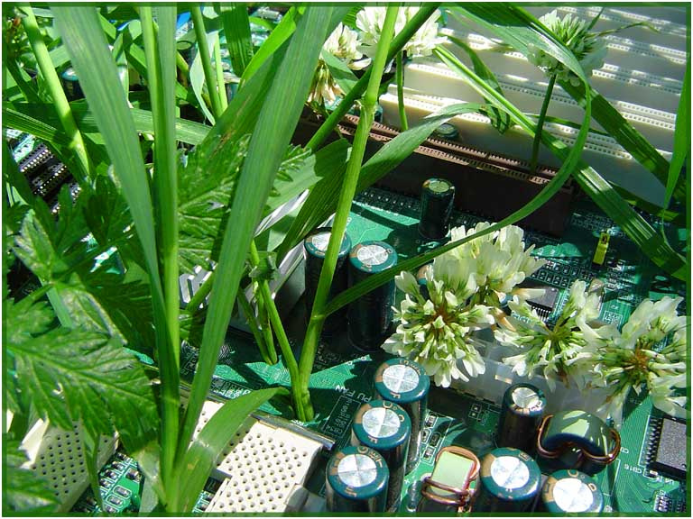 Green & white technogenic. зеленая электроника трава компьютер природа nature