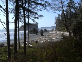 RUBY BEACH, WA 