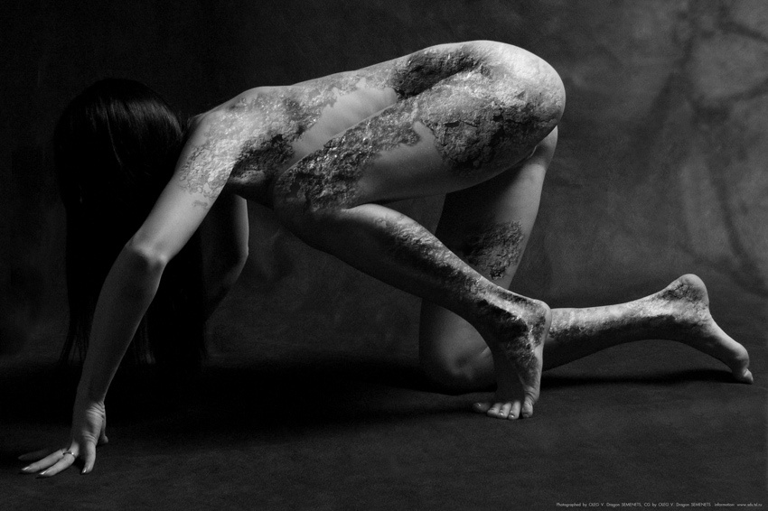 L&Sh (os bw) 
