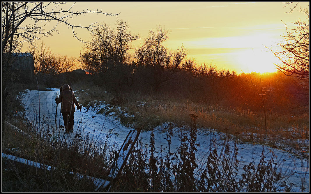 Дорога домой 