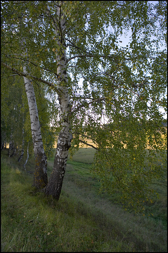 19 сентября 