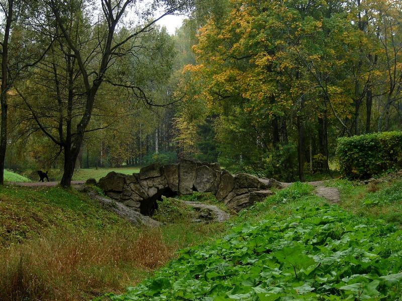 Ancient Bridge Мост, пёсик, осень, Павловск